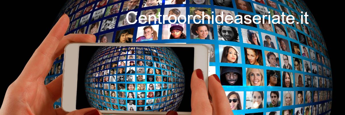 centroorchideaseriate.it